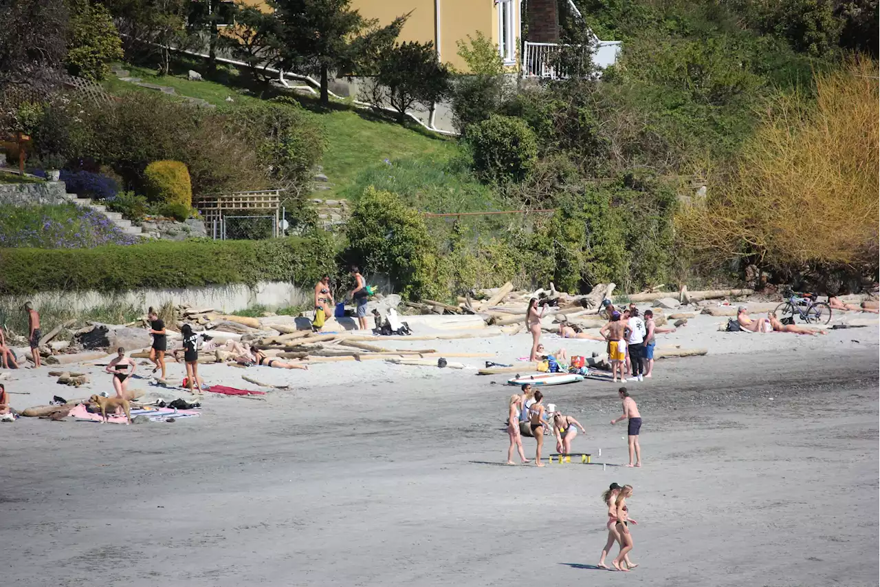 Coroner investigating possible human foot found in shoe on Victoria beach