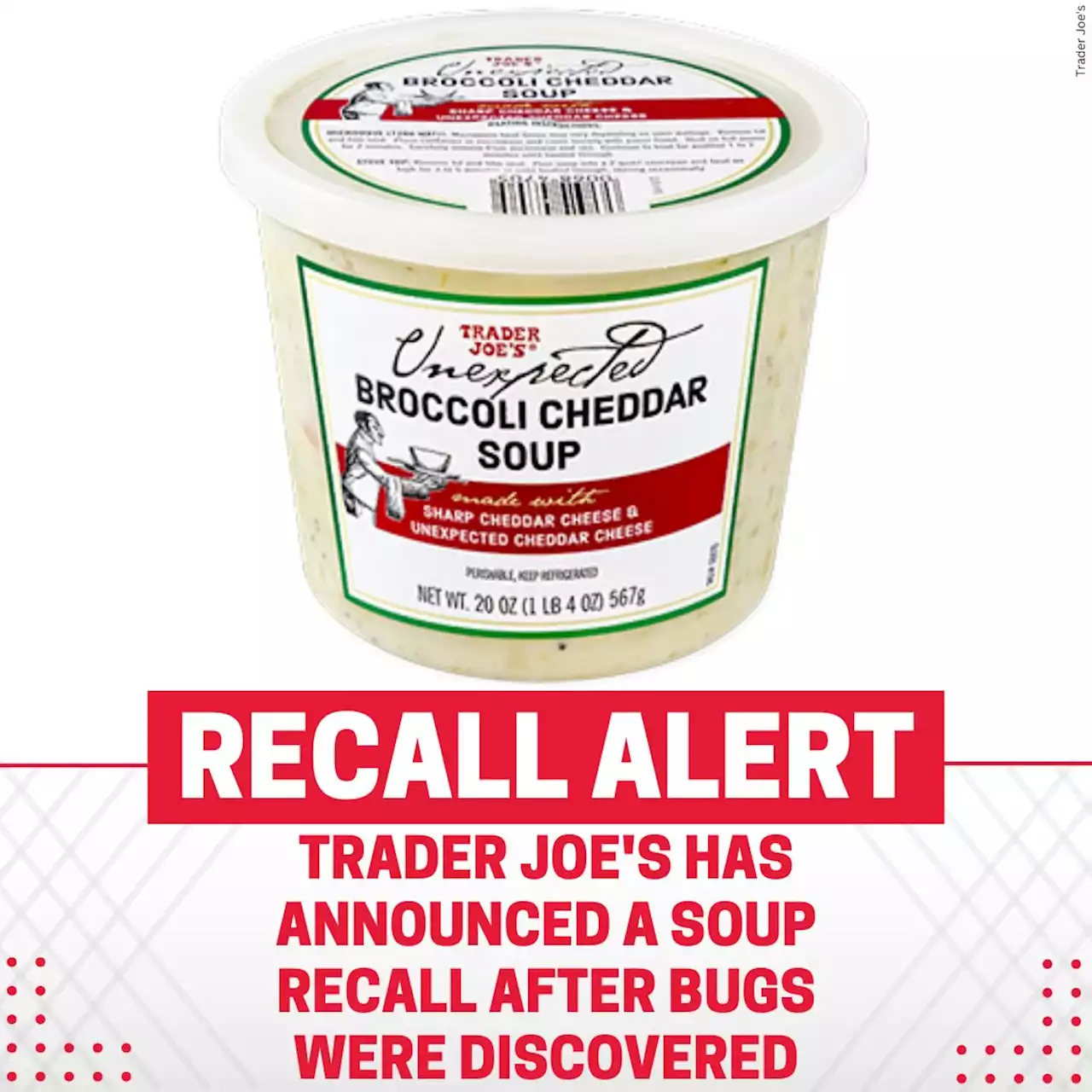 Discovery of bugs prompts Trader Joe’s broccoli cheddar soup recall in