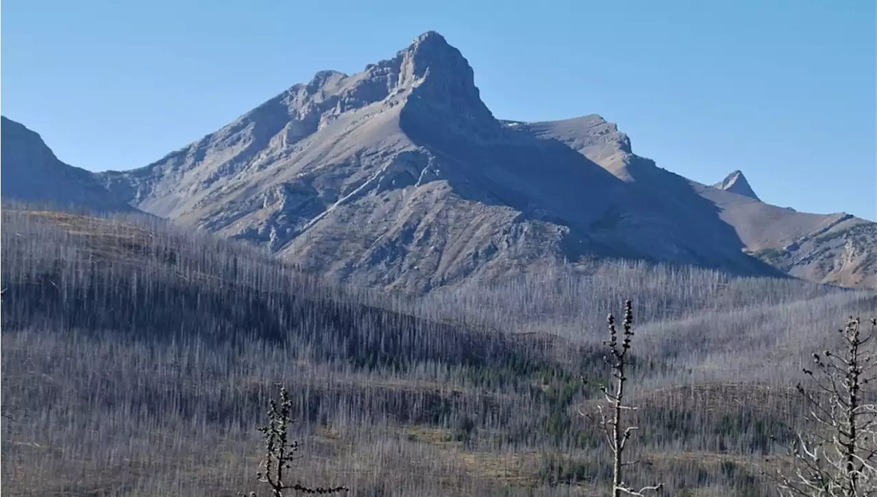 Alberta hikers found dead in Crowsnest Pass near Coleman