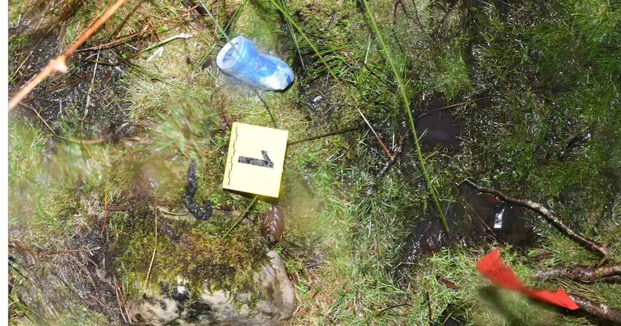 Grim photographs show grave where Scots cyclist was buried by evil drunk driver