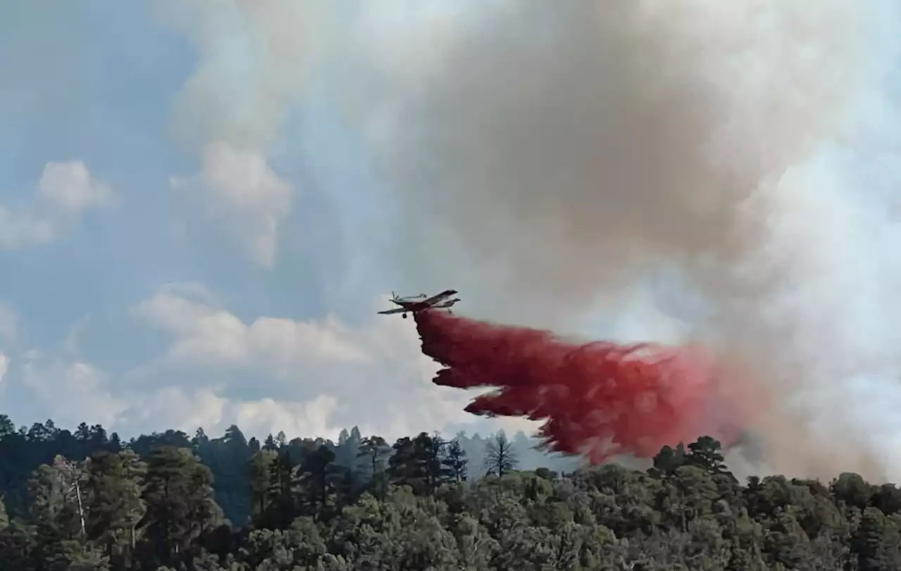 Firefighters in full suppression mode on Lowline fire near Gunnison; Thunder fire near Norwood not growing