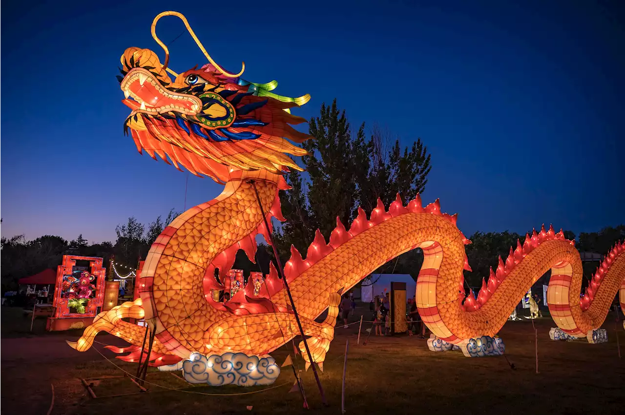 Bright Nights Festival Brings Glowing Lantern Sculptures to Four Mile Historic Park