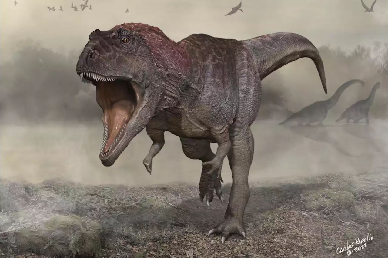 These 7 New Dinosaur Species Were Unearthed In 2022