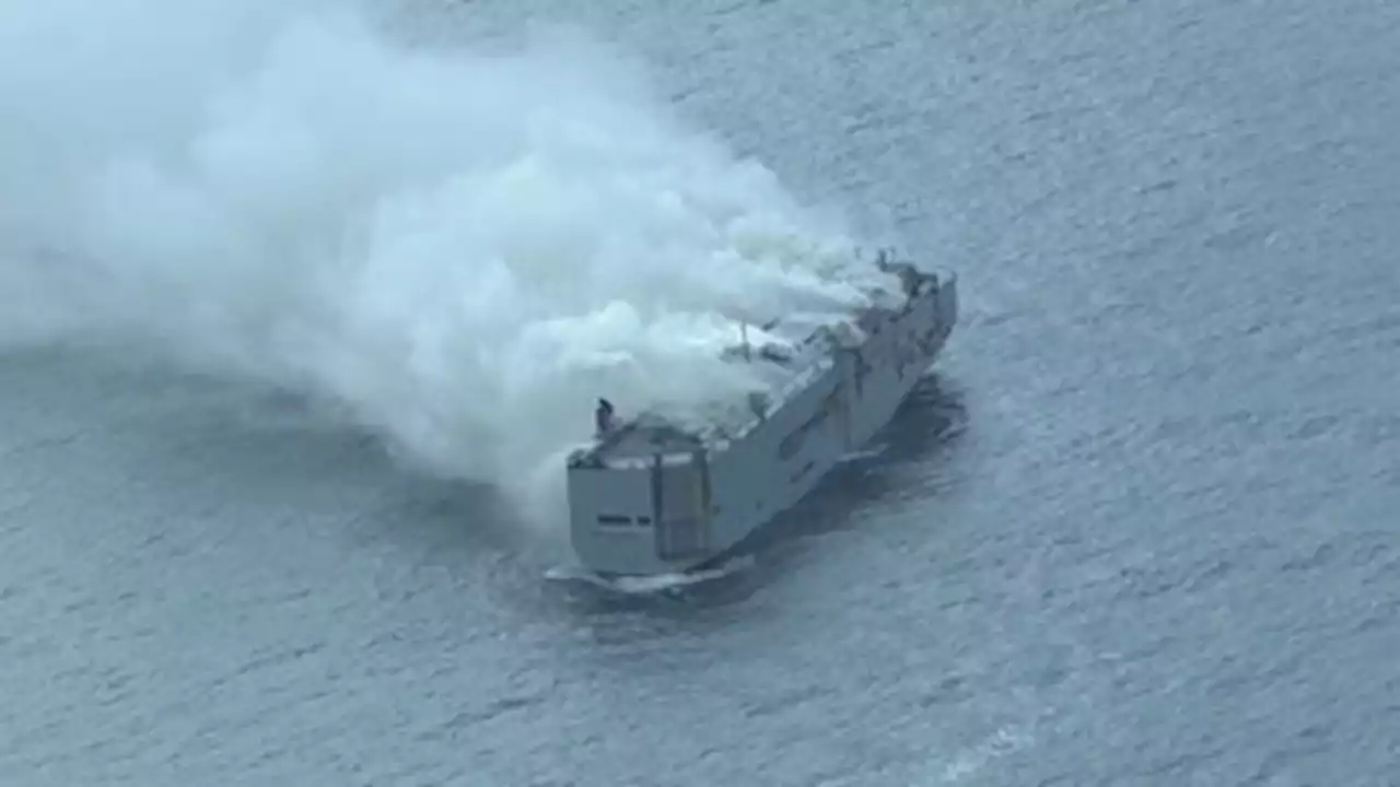 Dutch race to put out blaze on car ship