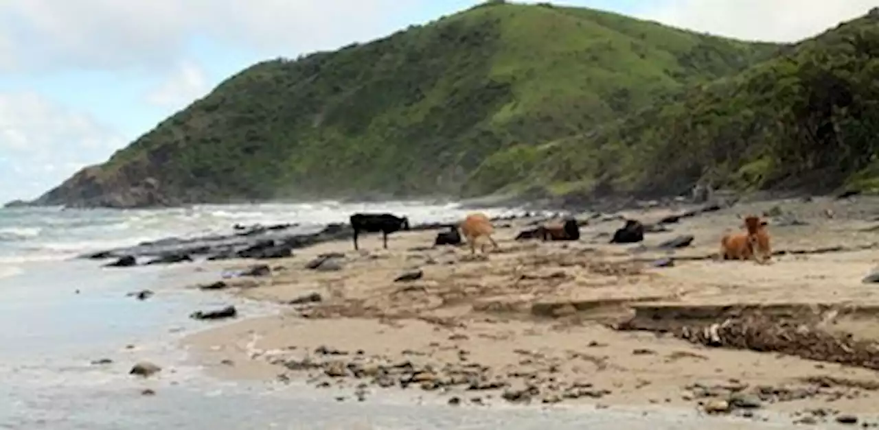 South coast tourism recovery 'hampered by water issues'