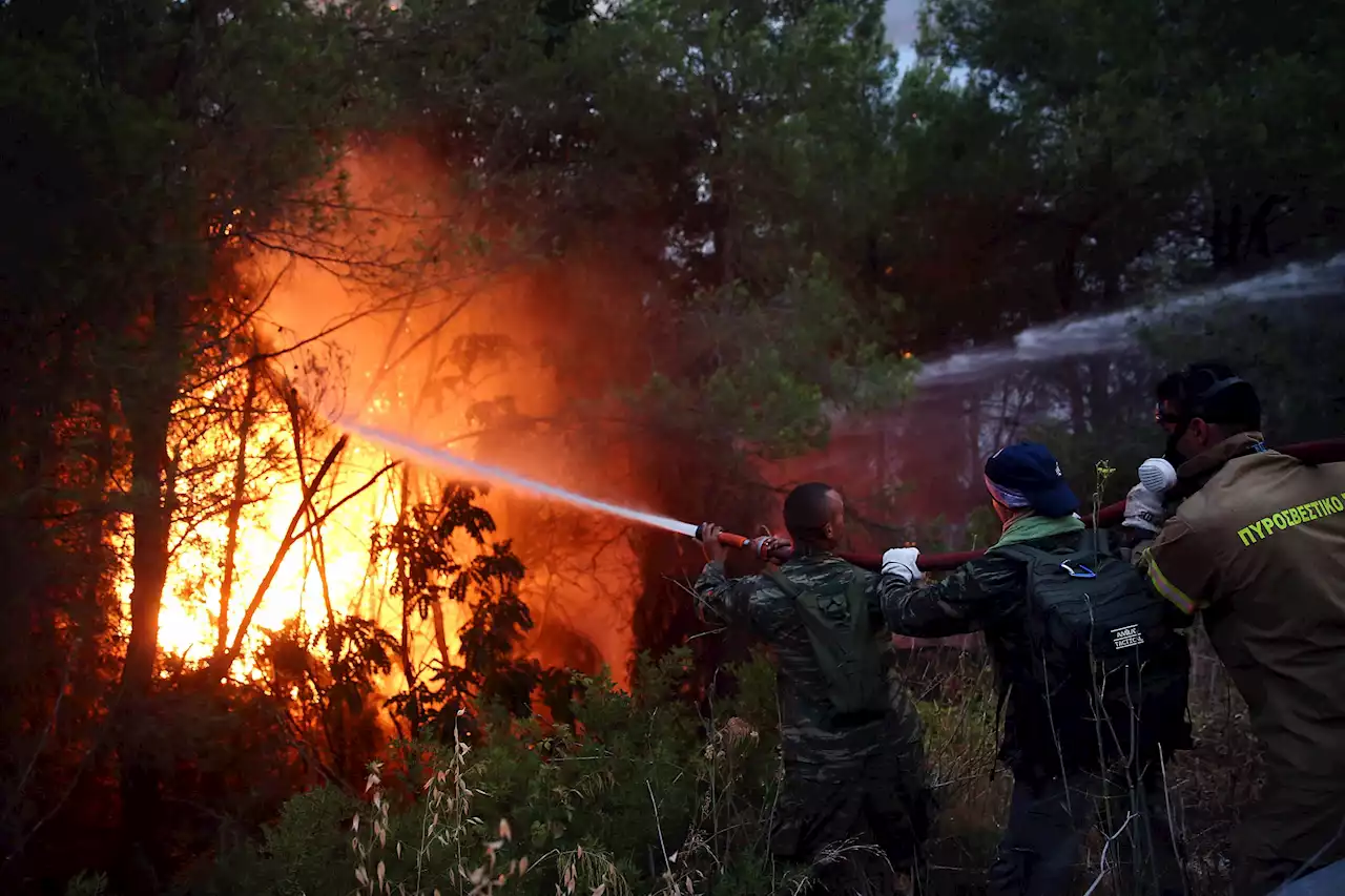 Situación de incendios en Italia y Grecia va mejorando, según autoridades