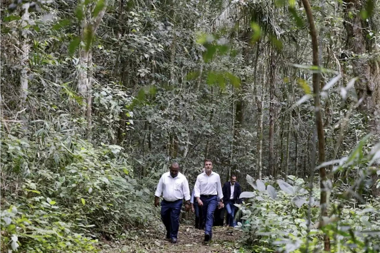 Macron goes green to woo Pacific islands