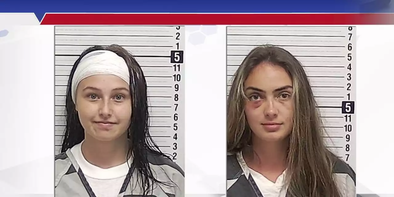 Two women arrested for fighting at party, one bites the other’s ear off