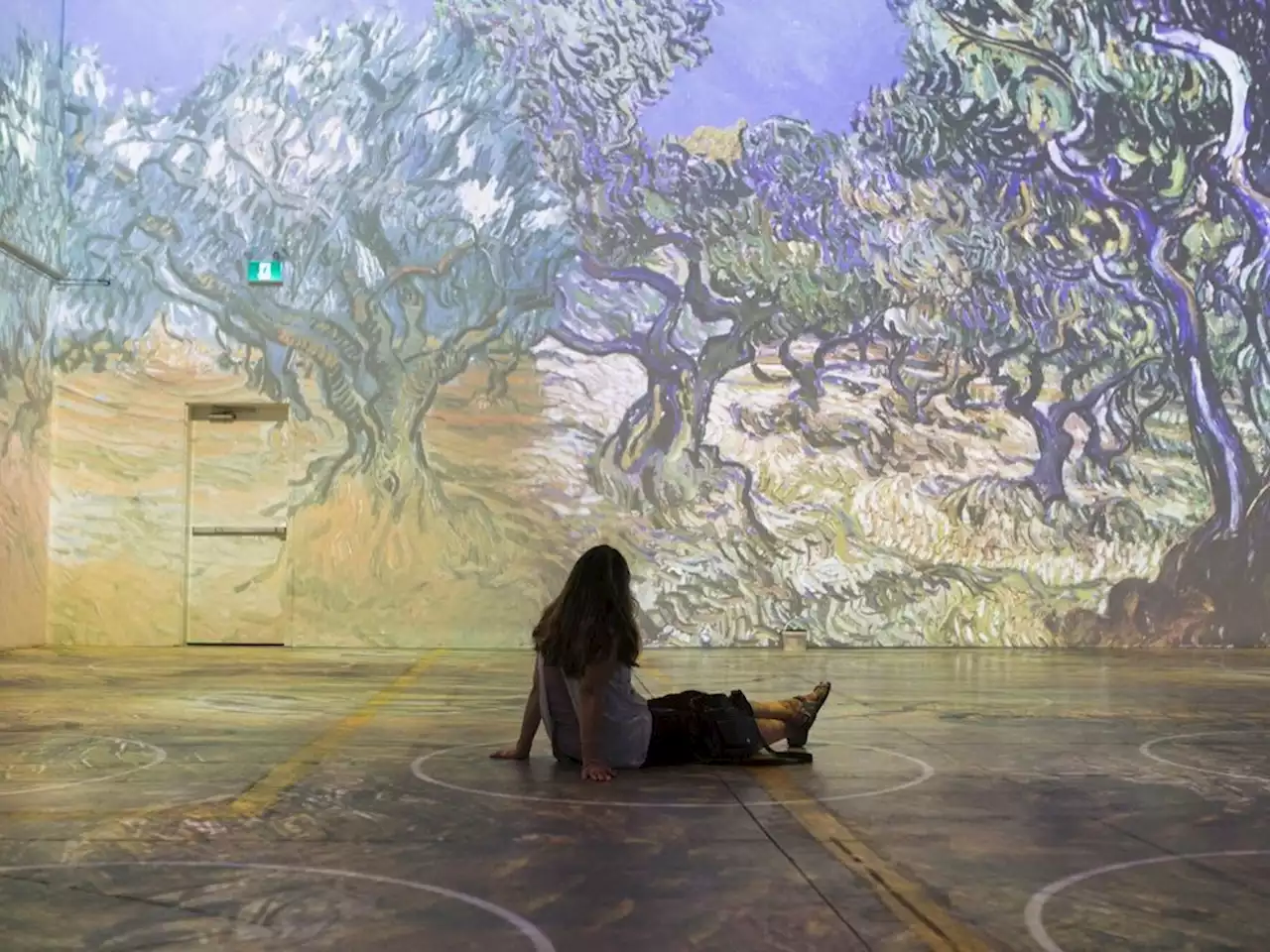 Toronto-based company behind immersive van Gogh exhibit goes bankrupt