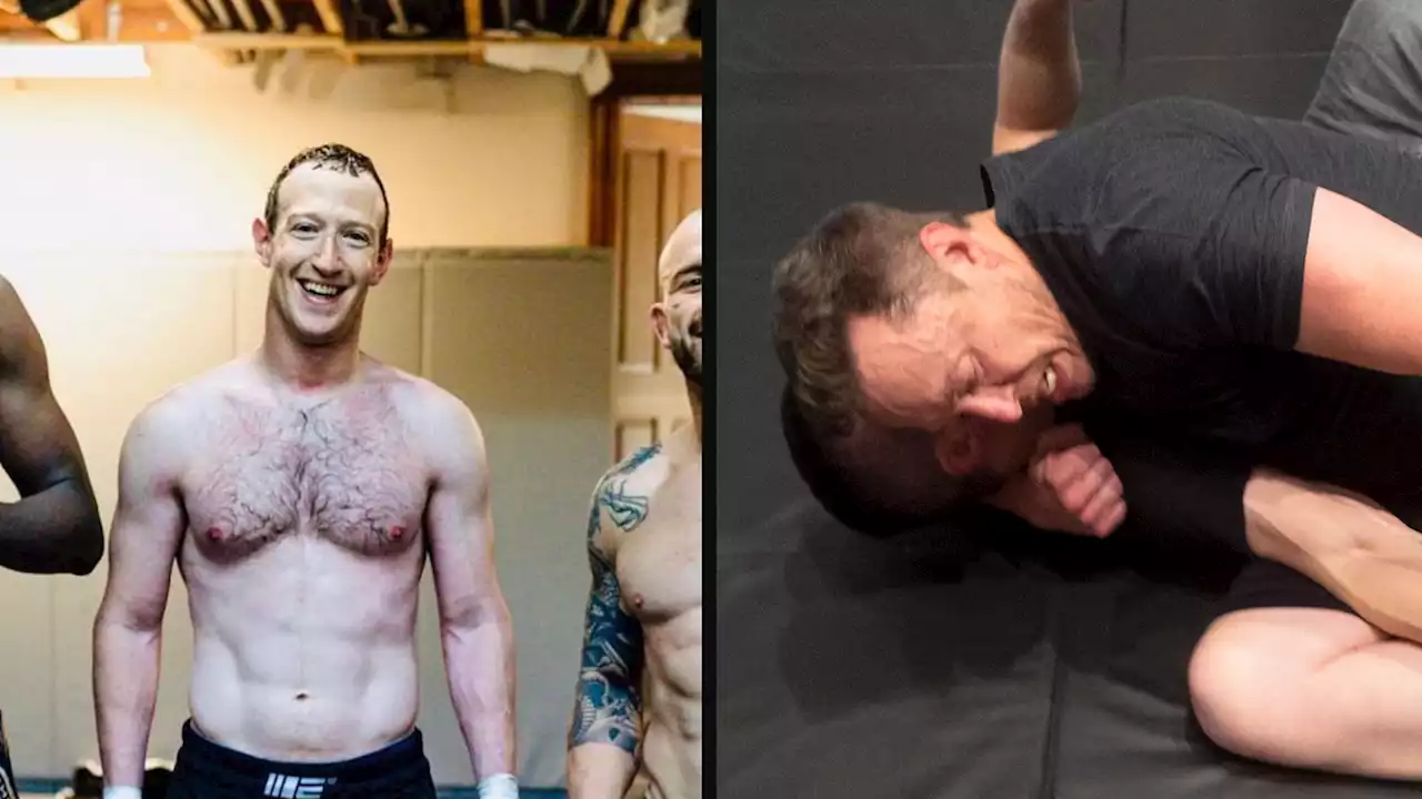 Zuck Says the Elon Cage Match Isn't Happening