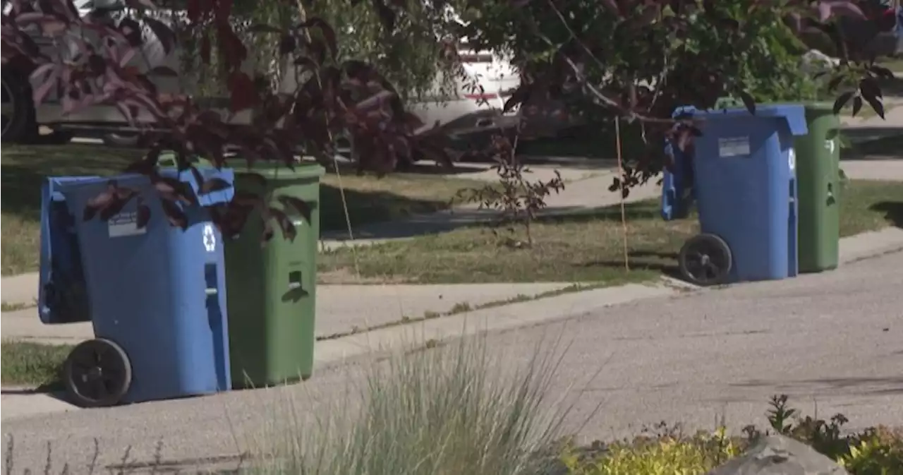 Committee endorses proposal around waste bins to prevent bear interactions in Calgary - Calgary | Globalnews.ca