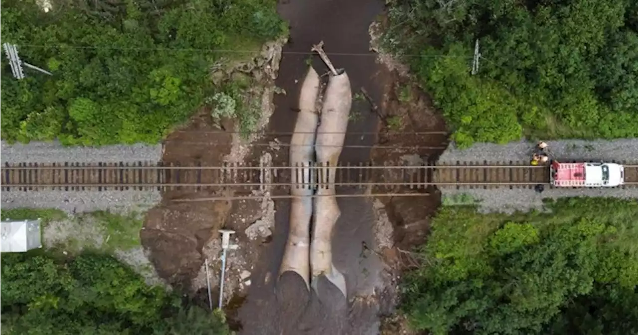 CN Rail reopens Nova Scotia link cut off by recent floods in under a week | Globalnews.ca