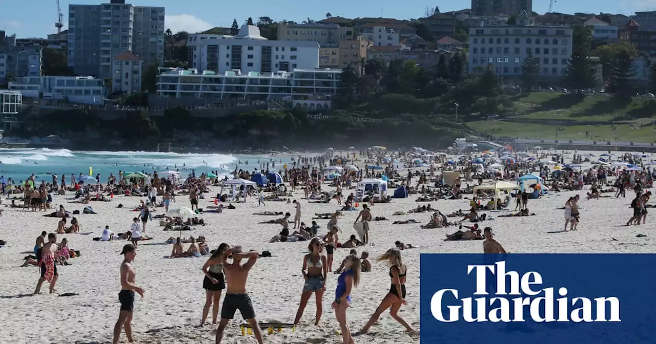 Bondi could face summer without shark nets as Sydney councils push for alternatives