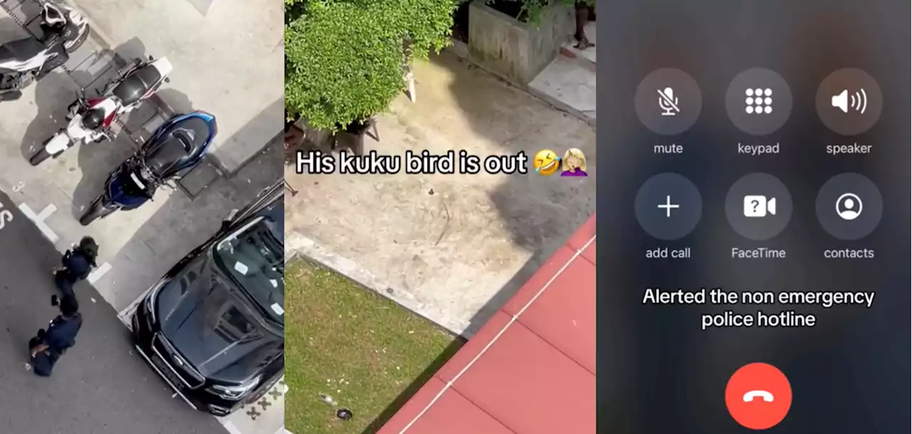 'His 'kuku bird' was out' — Kids tell their mum about man exposing himself; she then calls the police - Singapore News