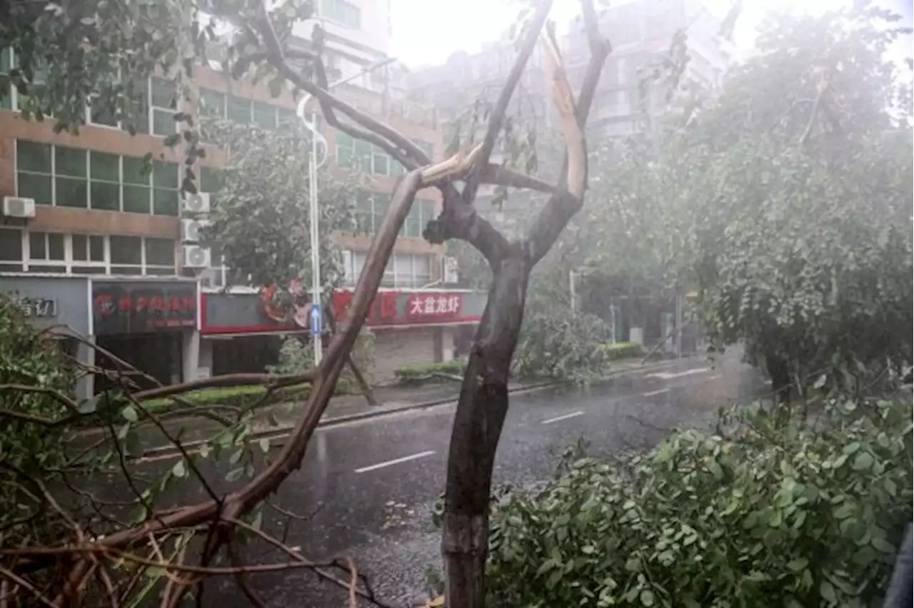 Typhoon Doksuri destroys power lines, closes factories as it rips into China