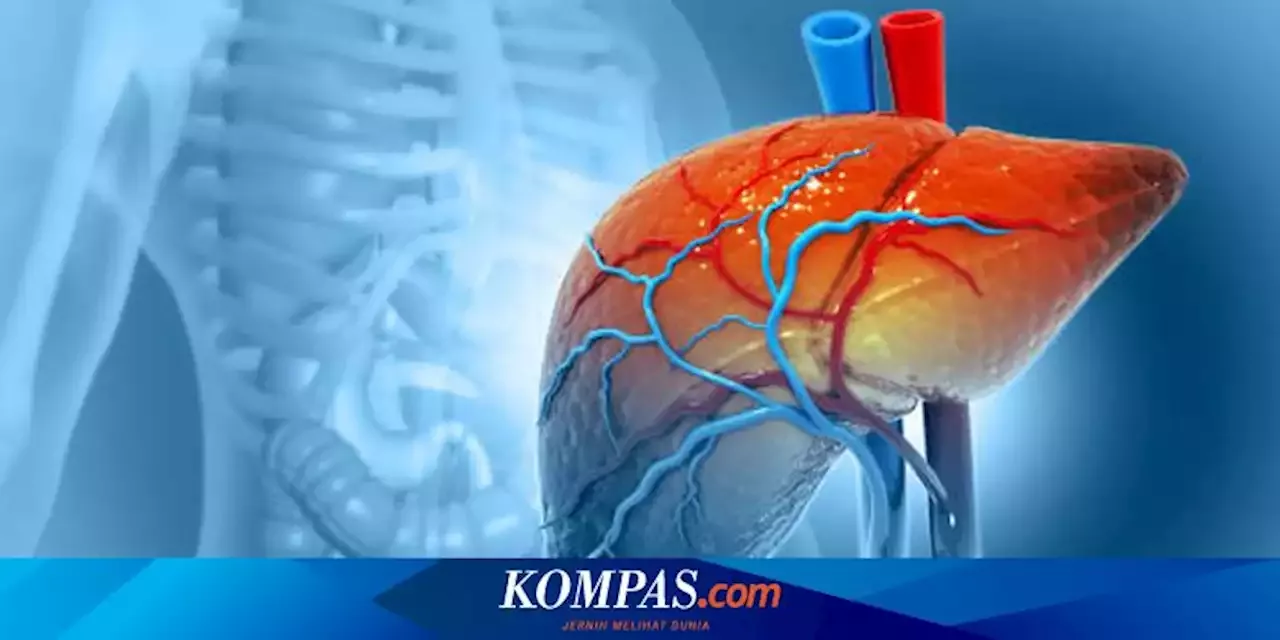 Mengenal Apa Itu Hepatitis, Jenis, Penyebab, Dan Gejalanya