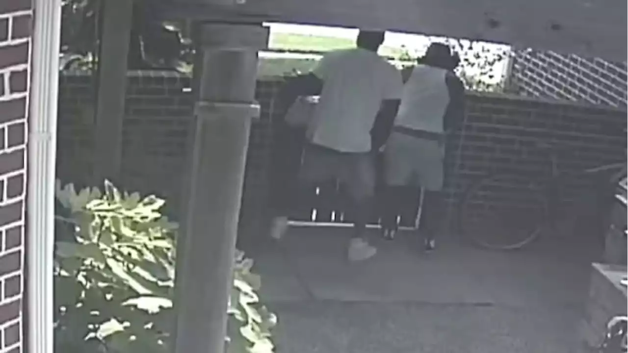 Brazen burglars caught on camera minutes apart targeting two Meyerland homes