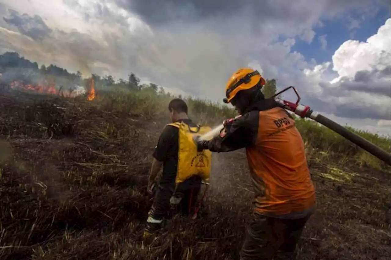 Pantau Karhutla, Polda Kalsel Kembangkan Aplikasi Bekantan