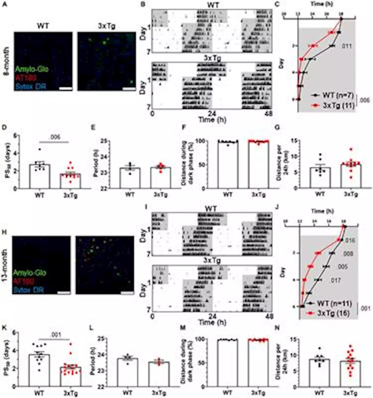 Frontiers | Altered circadian behavior and light sensing in mouse models of Alzheimer’s disease