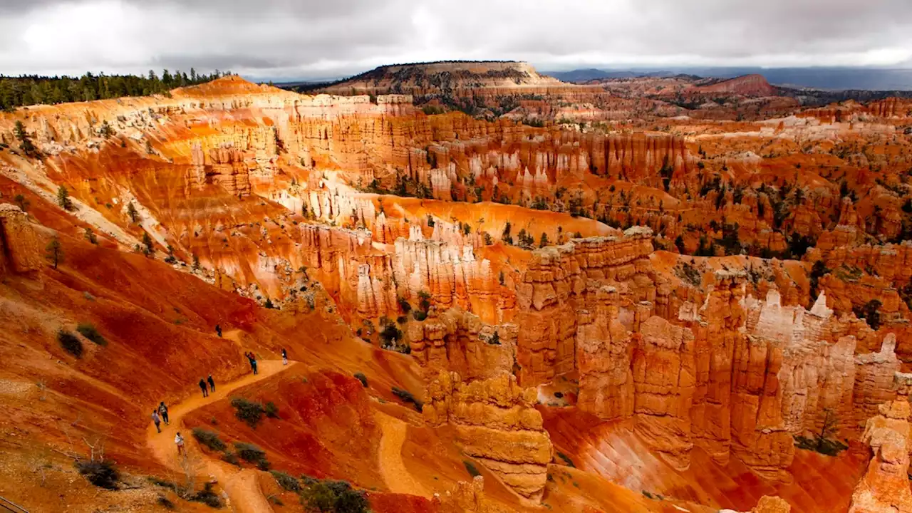 These are the 10 best U.S. national parks to see wildlife