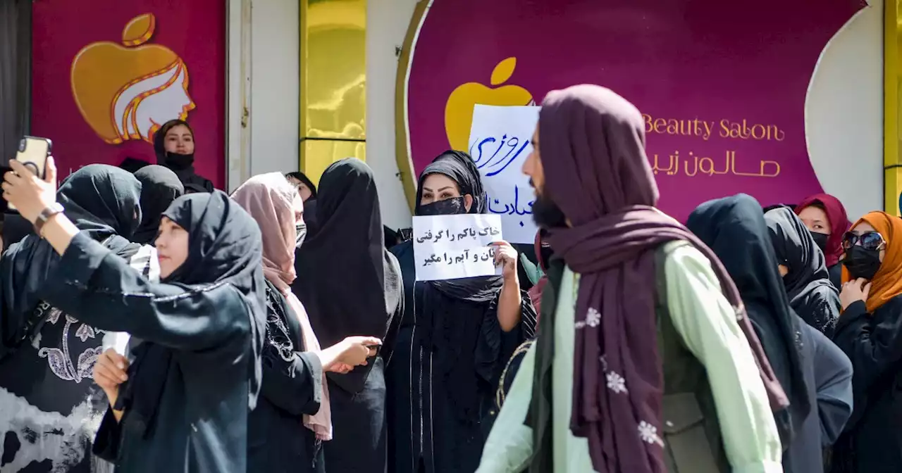 Taliban use stun guns and fire hoses on beauty salon ban protesters