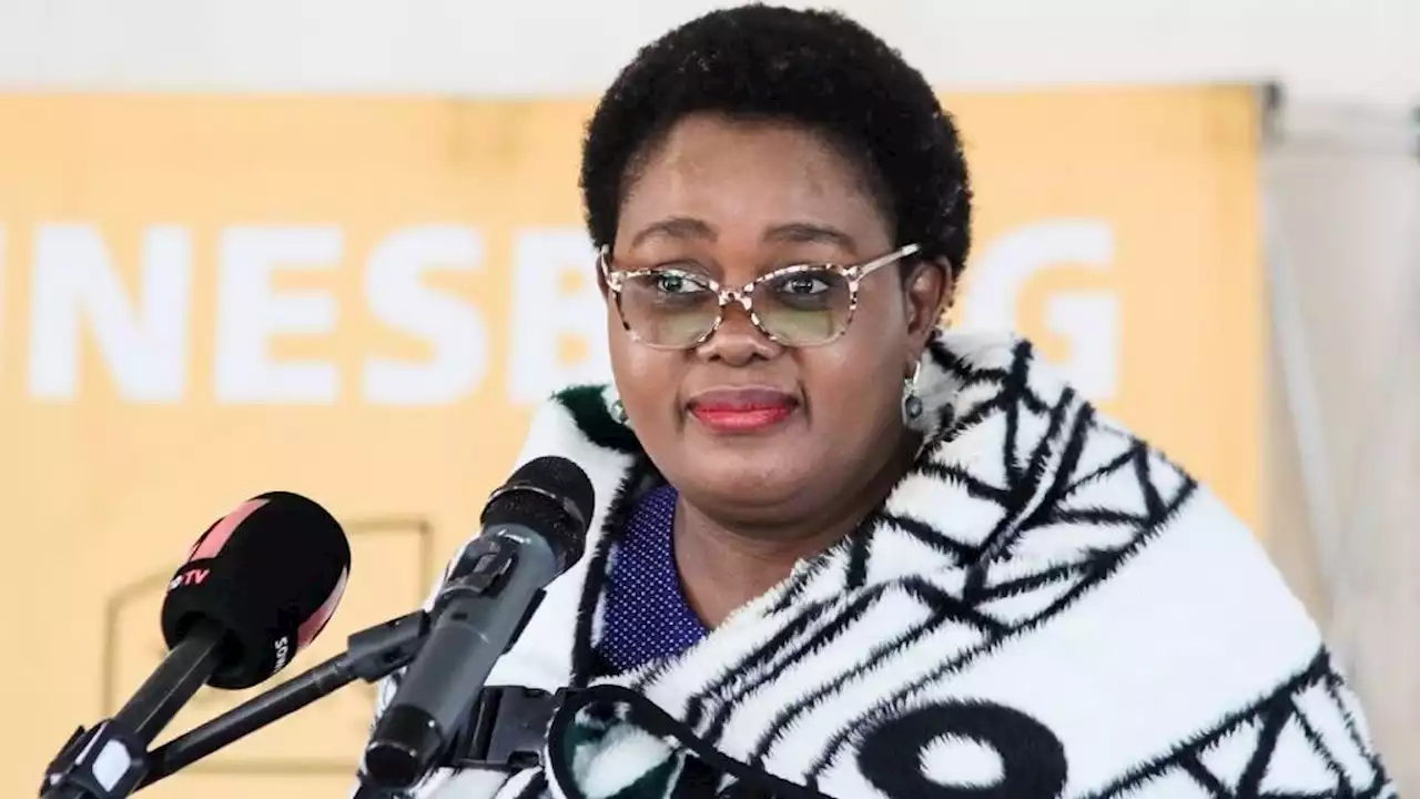 Minister Kubayi 'gave herself powers' she was not entitled to by firing deputy director | News24