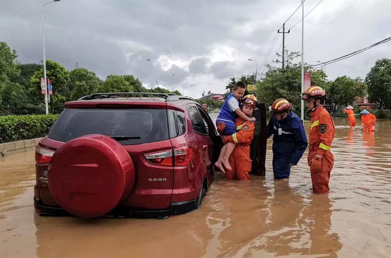 Typhoon Doksuri batters China with high winds and rain | News24