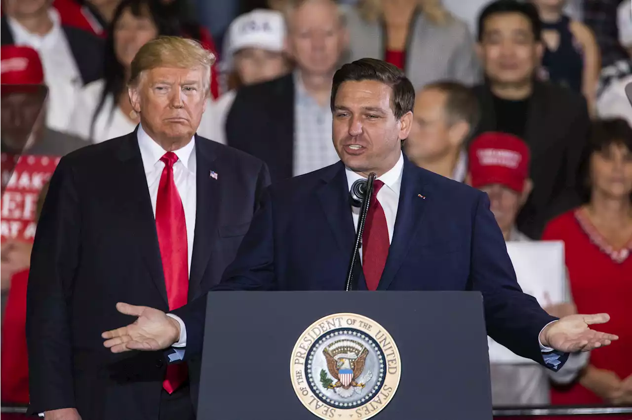 Donald Trump's Donors Are Wildly Different From Ron DeSantis'