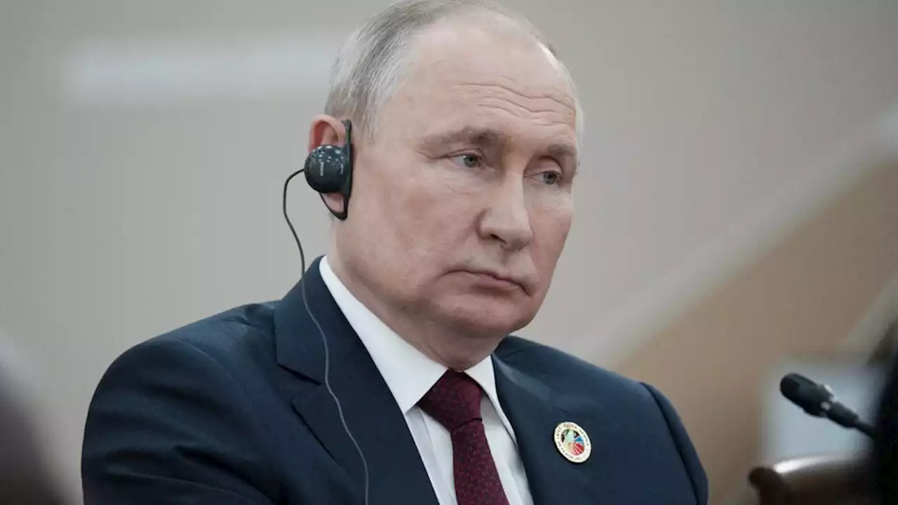 Rusia: Putin prometió granos gratis a seis países africanos | Durante la cumbre de cooperación ruso africana en San Petersburgo