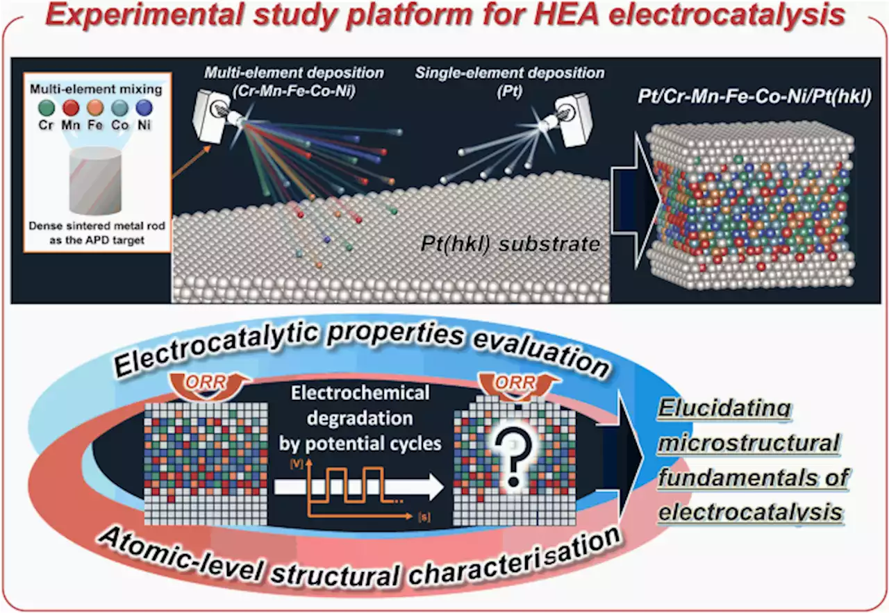 Experimental study platform for electrocatalysis of atomic-level controlled high-entropy alloy surfaces - Nature Communications