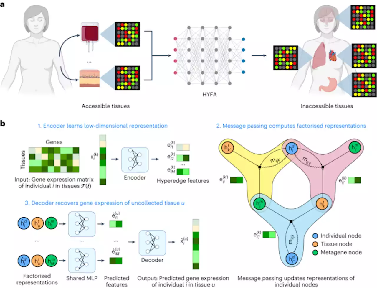 Hypergraph factorization for multi-tissue gene expression imputation - Nature Machine Intelligence