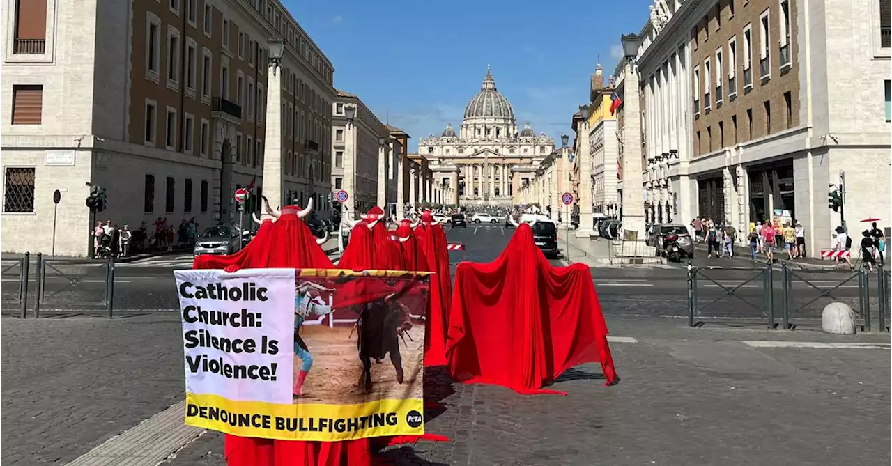 Animal rights campaigners urge Pope Francis to denounce bullfighting