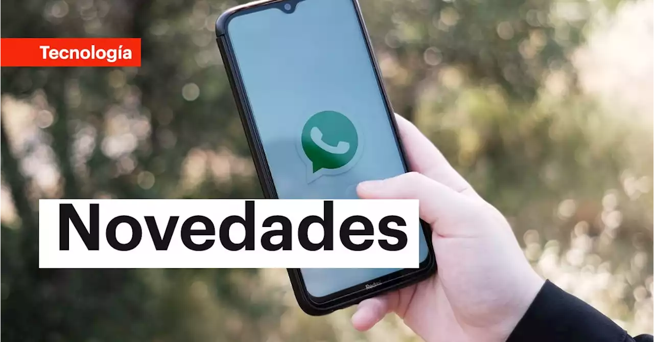 WhatsApp: todas las novedades que llegaron a la aplicación de mensajería instantánea en el mes de julio