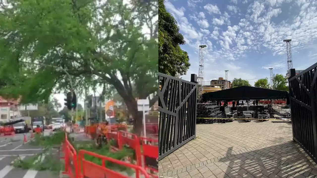 Controversia en Medellín por poda de árboles para instalar tarima de Feria de las Flores