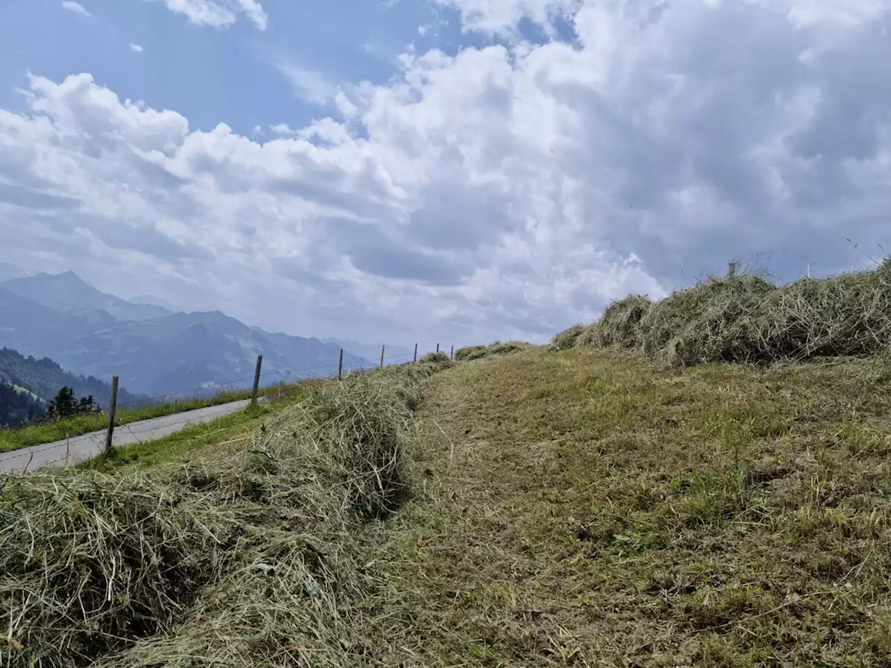 Als das Heu auf der Alp verschneit wurde