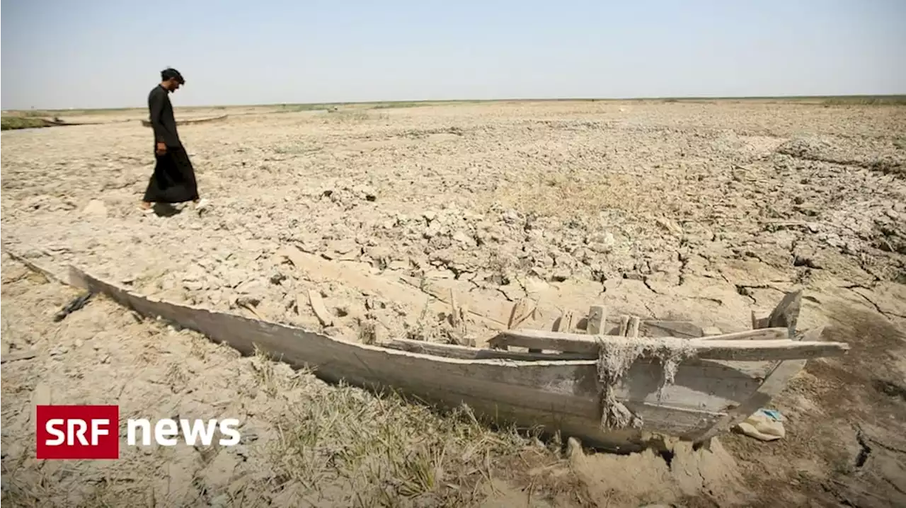 Wassermangel in Irak - Jahrhundertdürre in Irak stellt das Land vor eine Zerreissprobe