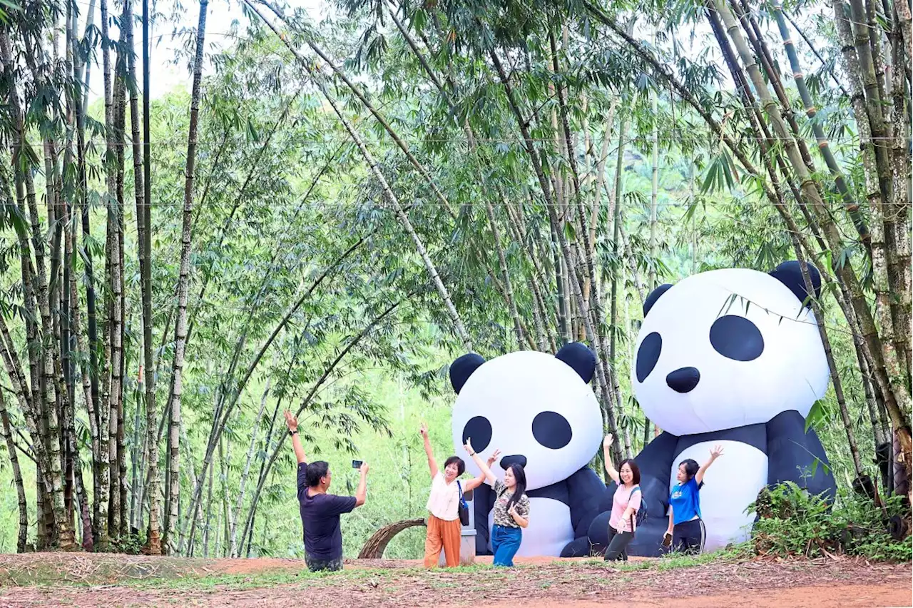 Foreign tourist numbers set to rise in Johor until next year