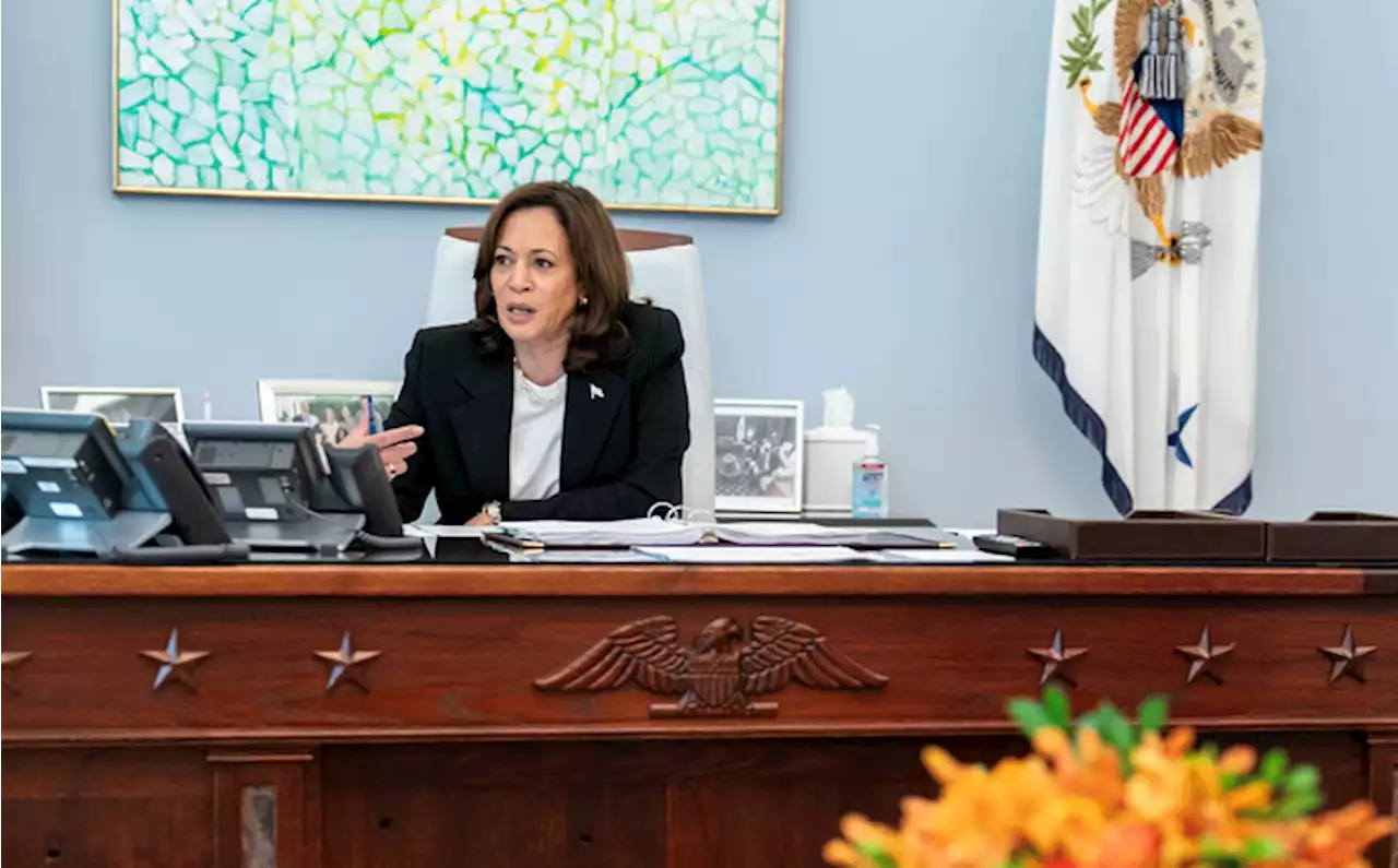 Kamala Harris speaks with Tinubu, assures US support in strengthening Nigeria's economy | TheCable