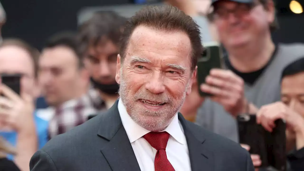 Arnold Schwarzenegger to Receive Award of Courage from Holocaust Museum L.A.