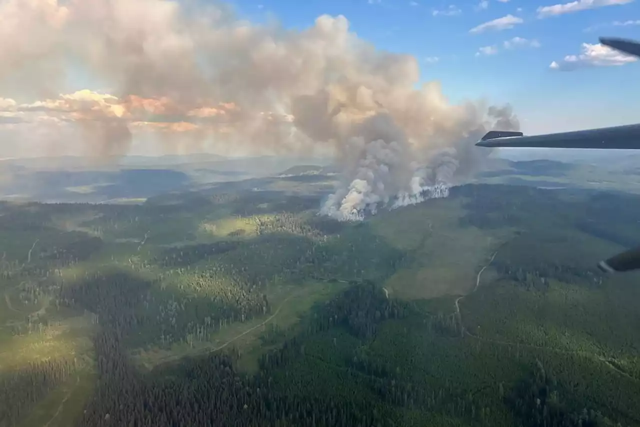 Rain allows 'slight reset' in B.C. wildfire fight but drought persists