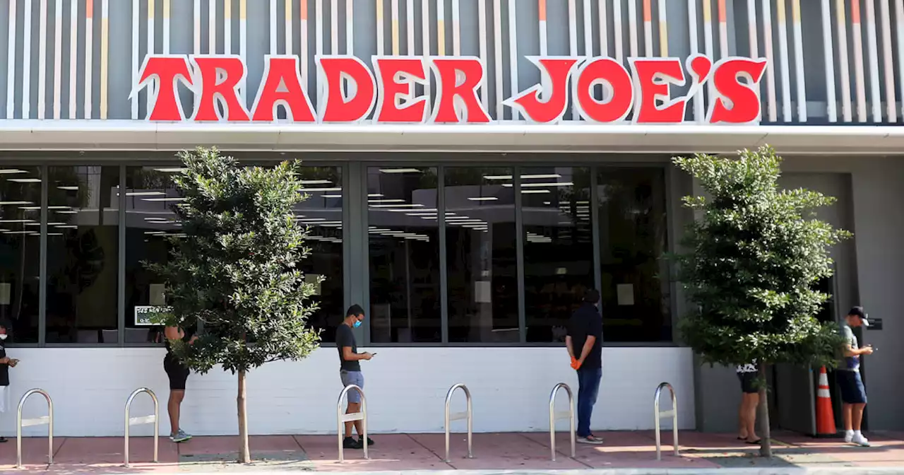 Trader Joe’s recalls popular soup after insects were found