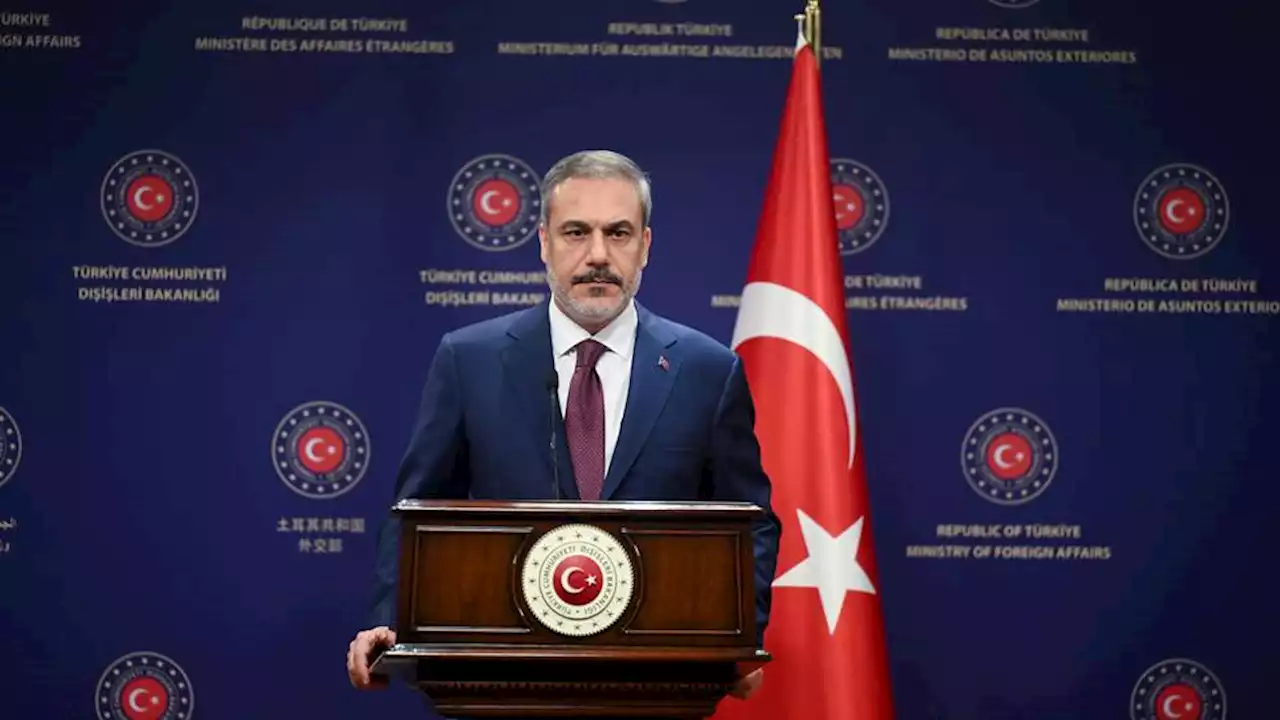 Türkiye, Hungary in coordination over Sweden's NATO bid, says Turkish FM