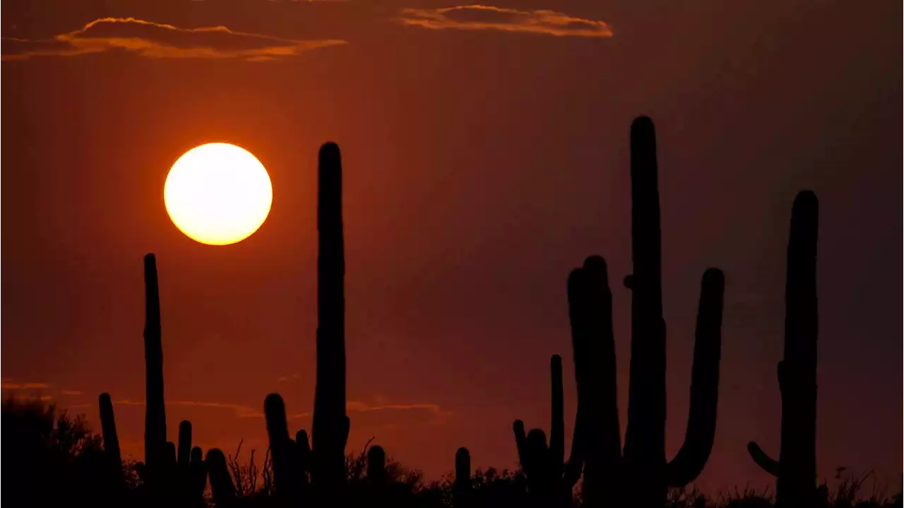 Amid sweltering temperatures, Tucson records 26 heat-related deaths