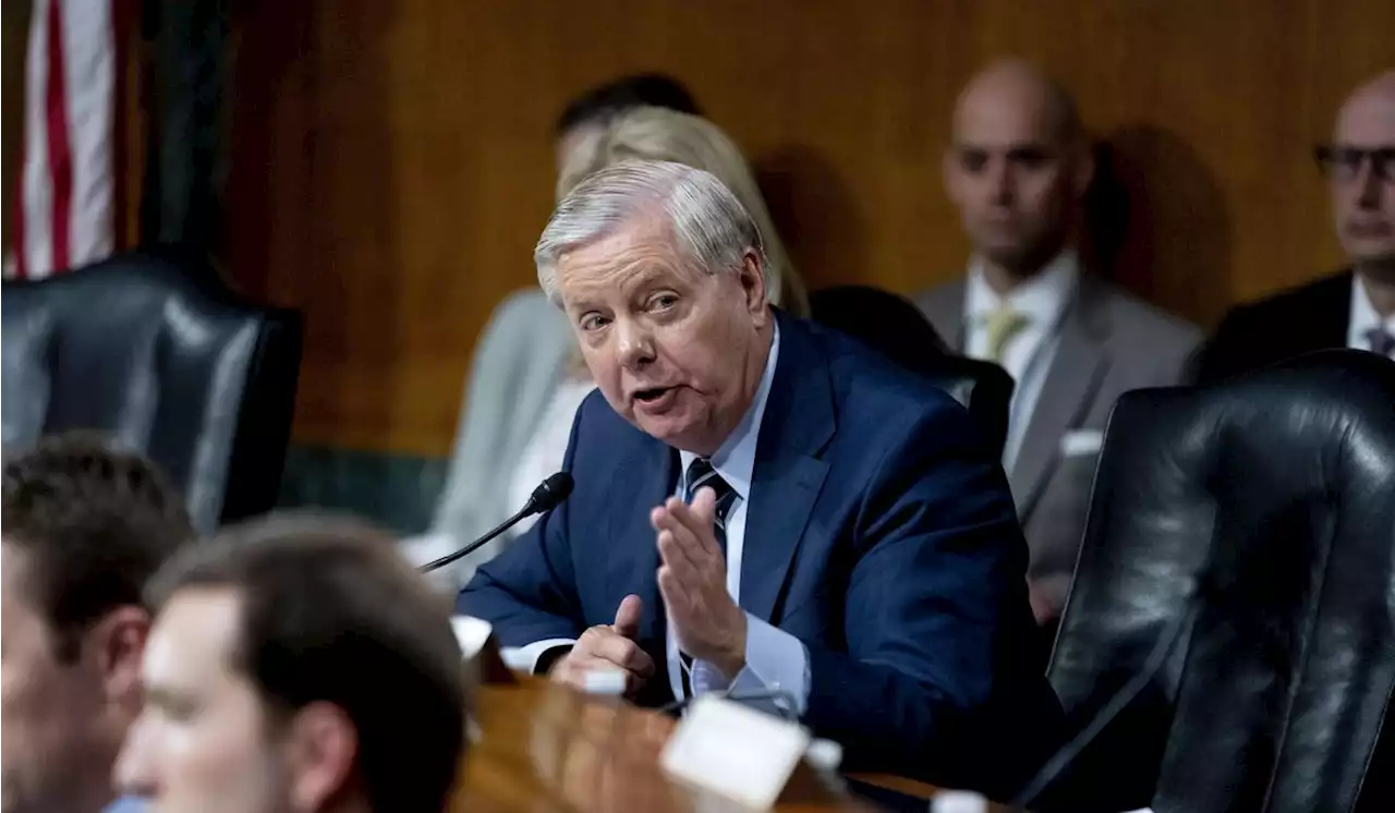 Sens. Graham, Warren team up for digital regulator to restrain Big Tech