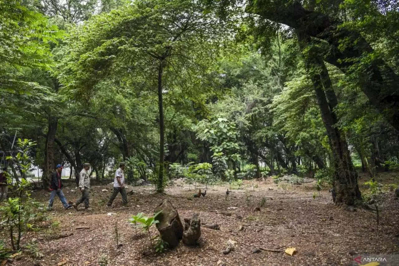 Heru: Manfaatkan hutan kota dengan kegiatan positif