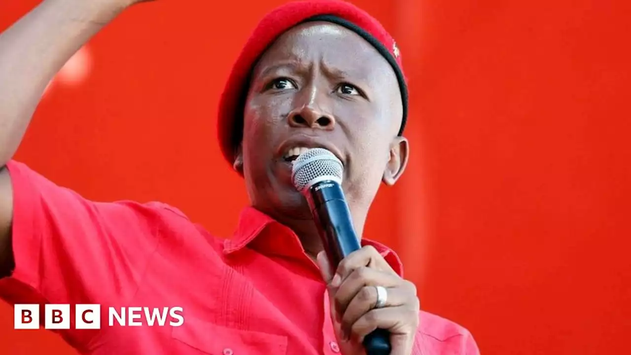 South Africa's Julius Malema celebrates 10 years of the EFF