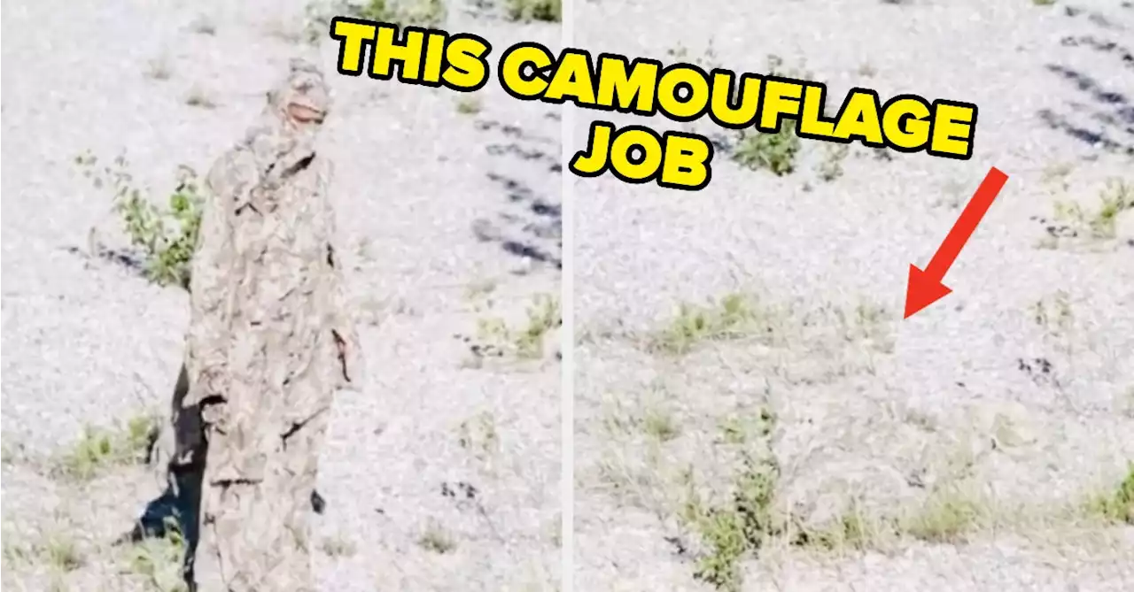 19 Incredibly Satisfying Photos That Blessed My Eyeballs On This Fine Summer Day