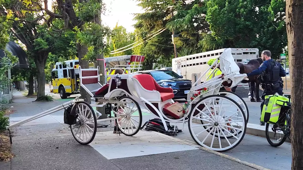 Victoria horse carriage driver injured after fall