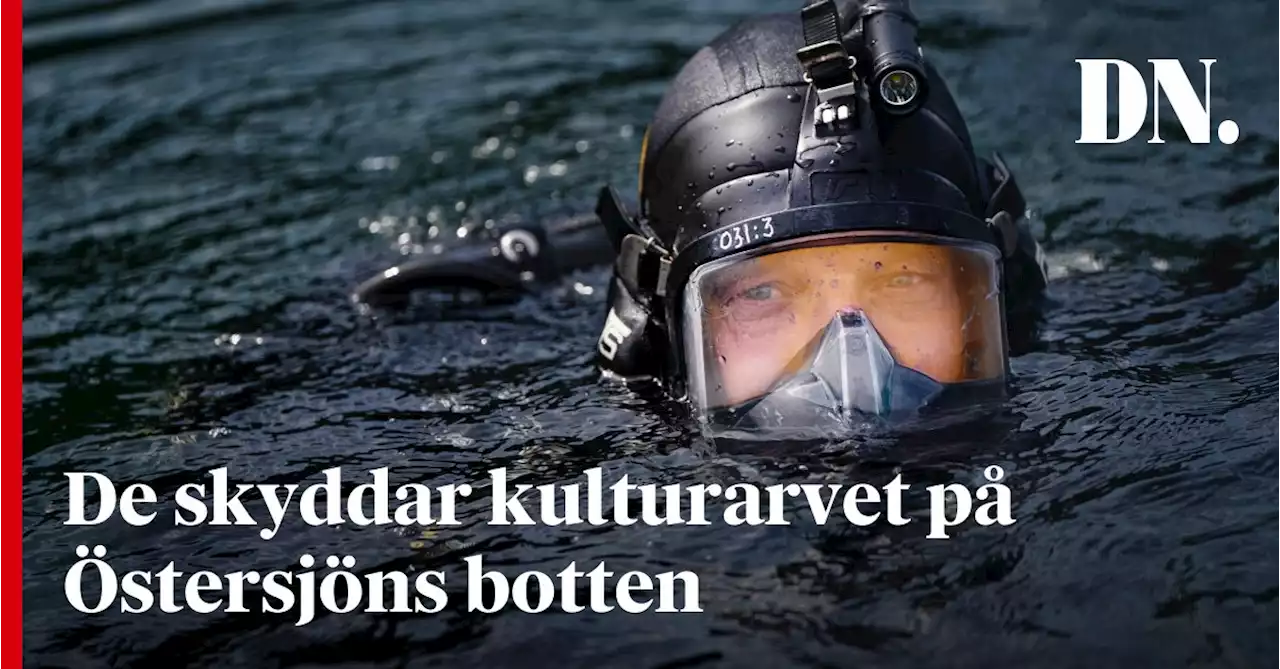 De jagar vrakplundrare i Östersjön