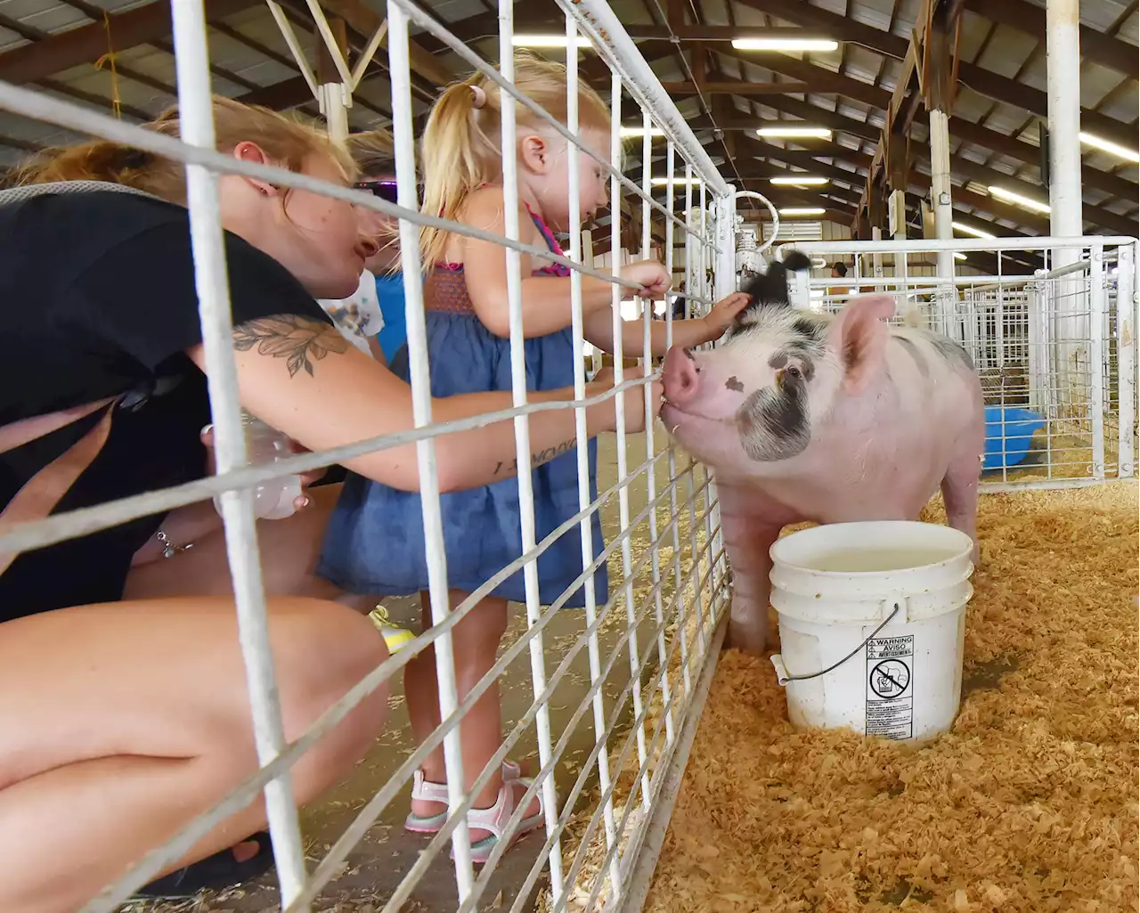 DuPage County Fair closes early, will be back in action Saturday